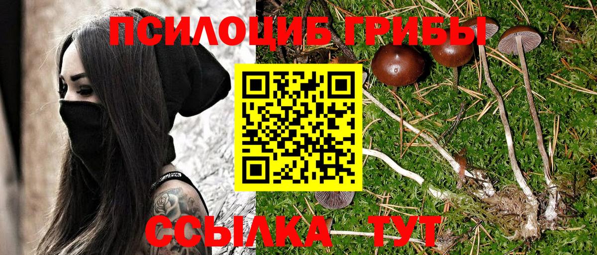 Галлюциногенные грибы Magic Shrooms Кудрово