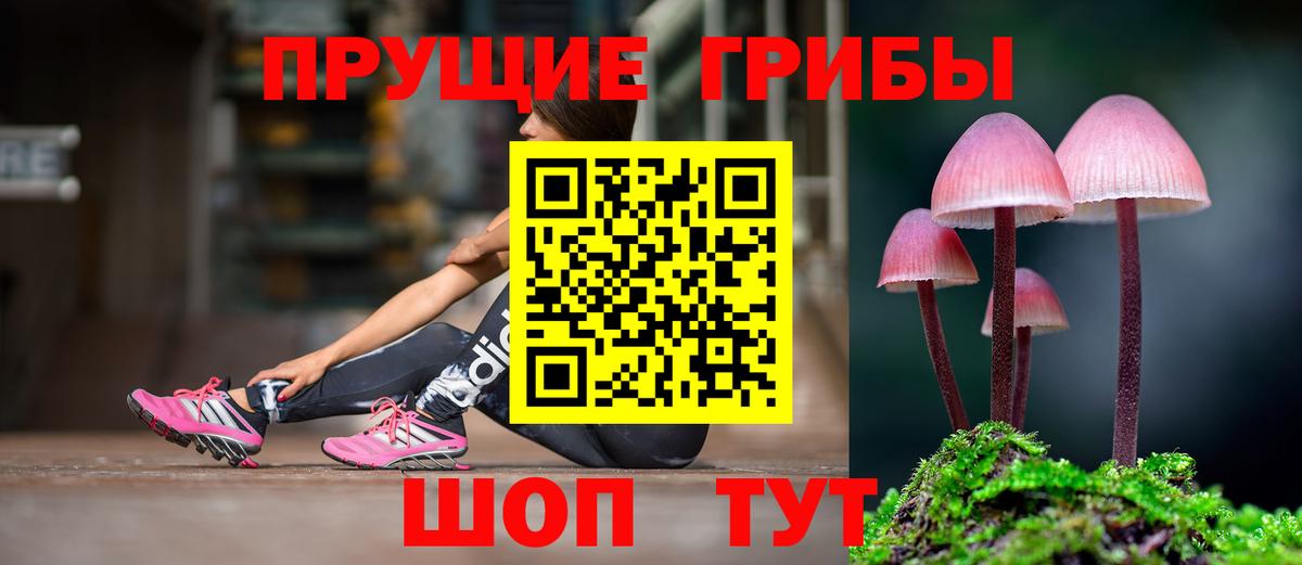 ТГК  Конопля  Меф   Кудрово  Вход с VPN  ГАШ  КОКАИН  Гашиш 
