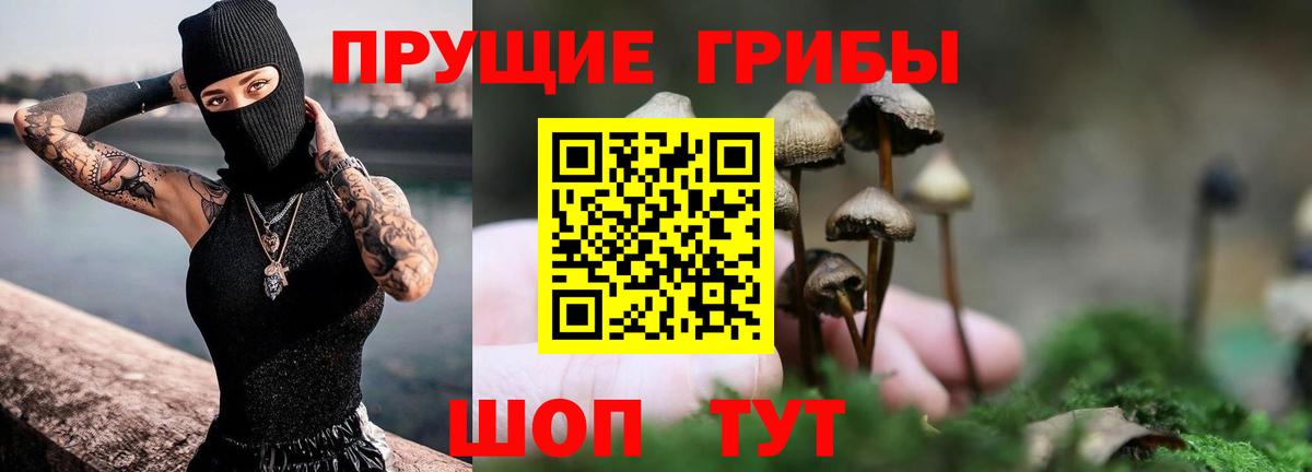 Галлюциногенные грибы MAGIC MUSHROOMS  Галлюциногенные грибы Psilocybine cubensis  Вход с VPN  Кудрово 